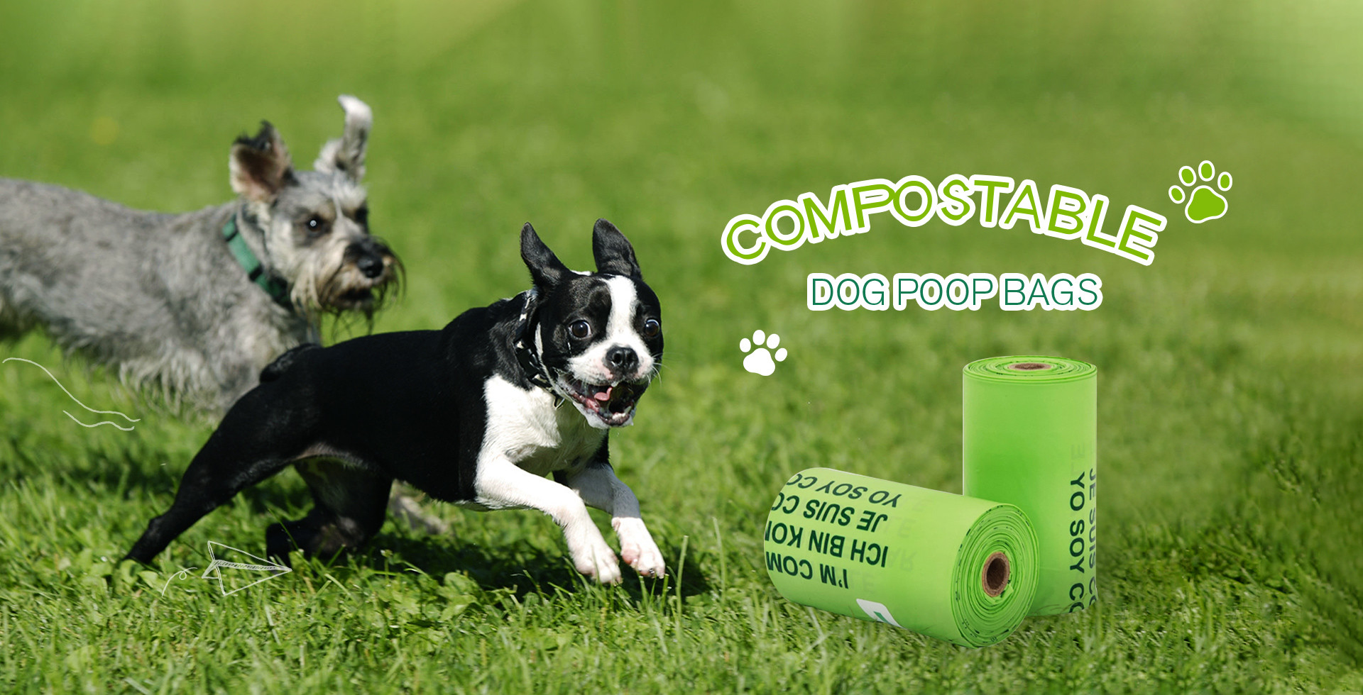 quality Compostable Garbage Bags factory