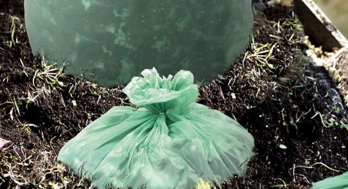 Latest company news about Are Compostable Plastic Bags Biodegradable? Debunking the Myths