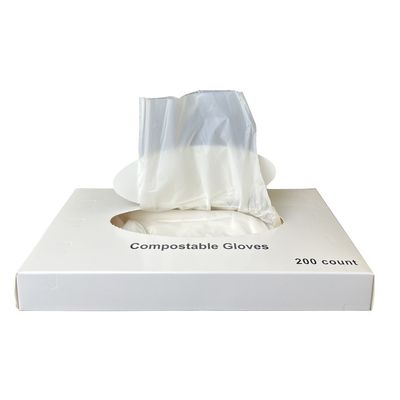 Good price 100% Compostable Gloves, Disposable and Latex-Free Disposable gloves for food and beverage service, gloves for food preparation and cooking, environmentally friendly. online